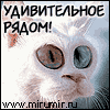 Анимированные аватарки Надписи_16